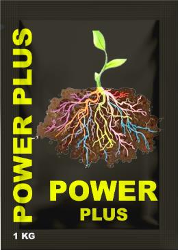 Power Plus logo