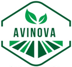 AVINOVA logo