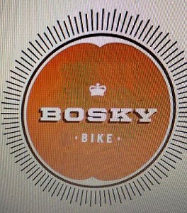 BOSKY logo