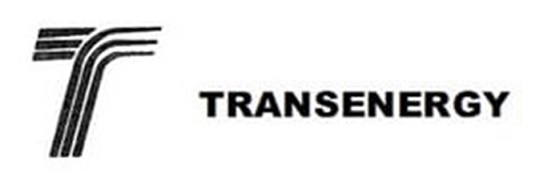 TRANSENERGY Logo logo