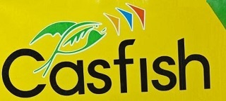 Casfish logo