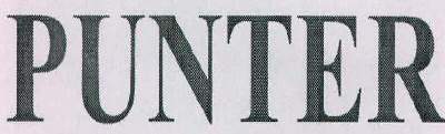PUNTER logo