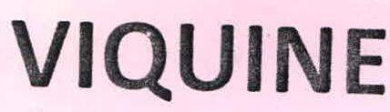 VIQUINE logo
