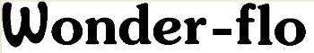 Wonder-flo logo