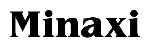 Minaxi logo