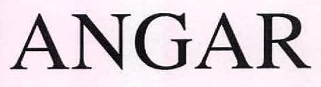 ANGAR logo