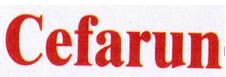 Cefarun logo