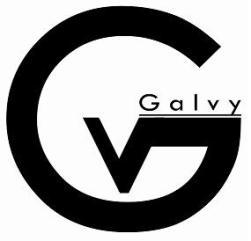 ( Galvy logo