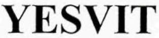 YESVIT logo