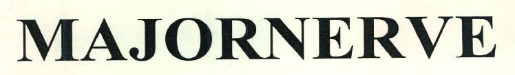 MAJORNERVE logo