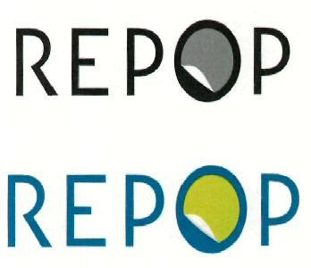 REP@P REP@P logo