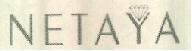 NETAYA logo