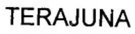 TERAJUNA logo