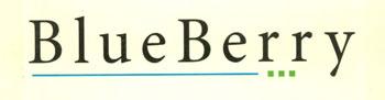 BlueBerry logo