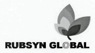 RUBSYN GLOBAL logo