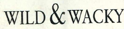 WILD & WACKY logo