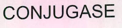 CONJUGASE logo