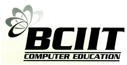 “BCIIT COMPUTER EDUCATION logo