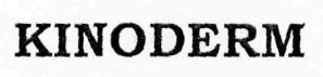 KINODERM logo