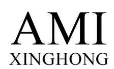 AMI logo