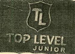 TOP LEVEL logo
