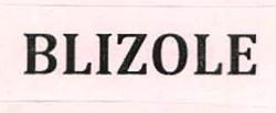 BLIZOLE logo
