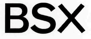 BSX logo