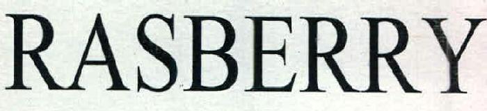 RASBERRY logo