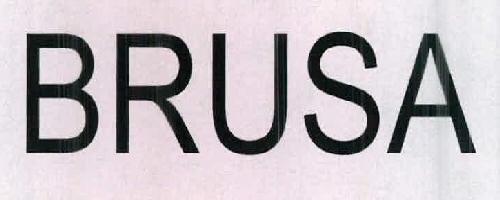 BRUSA logo