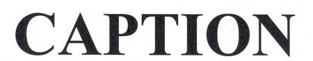 CAPTION logo