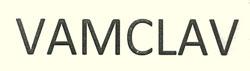 VAMCLAV logo