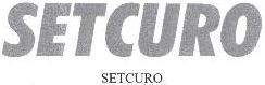 SETCURO logo