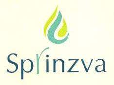 Splinzva logo