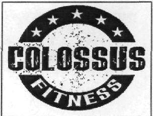 COLOSSUS logo