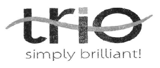 simply brilliant! logo
