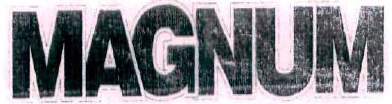 MAGNUM logo