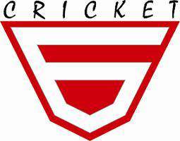CRICKET logo