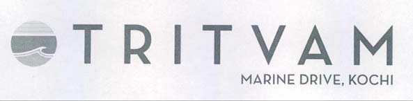 STRITVAM logo