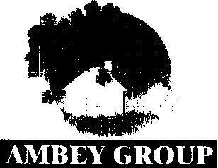 AMBEY GROUP logo