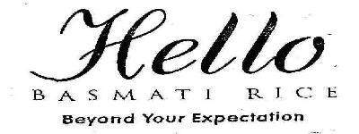 BASMATI RICE Beyond Your Expectation logo