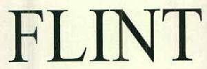 FLINT logo