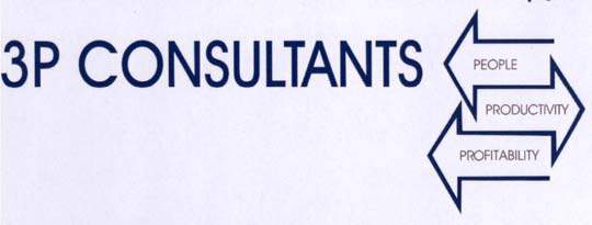 3P CONSULTANTS = logo