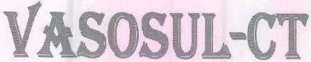 VASOSUL-CT logo