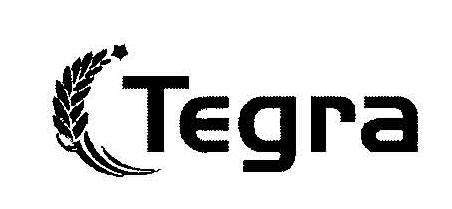 (Tegra logo