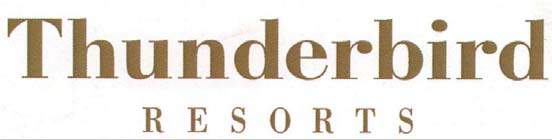 Thunderbird logo