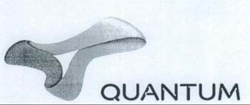 QUANTUM logo