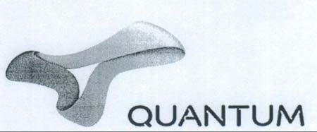 QUANTUM logo