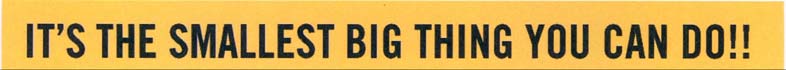 IT’S THE SMALLEST BIG THING YOU CAN DO!! logo