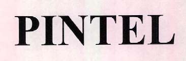 PINTEL logo