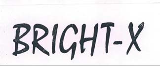 BRIGHT-X logo